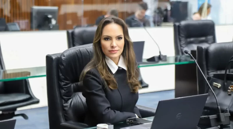 Deputada disse estar preocupada com ADI que pode inviabilizar o atendimento especializado aos estudantes com deficiências em todas as regiões do Paraná