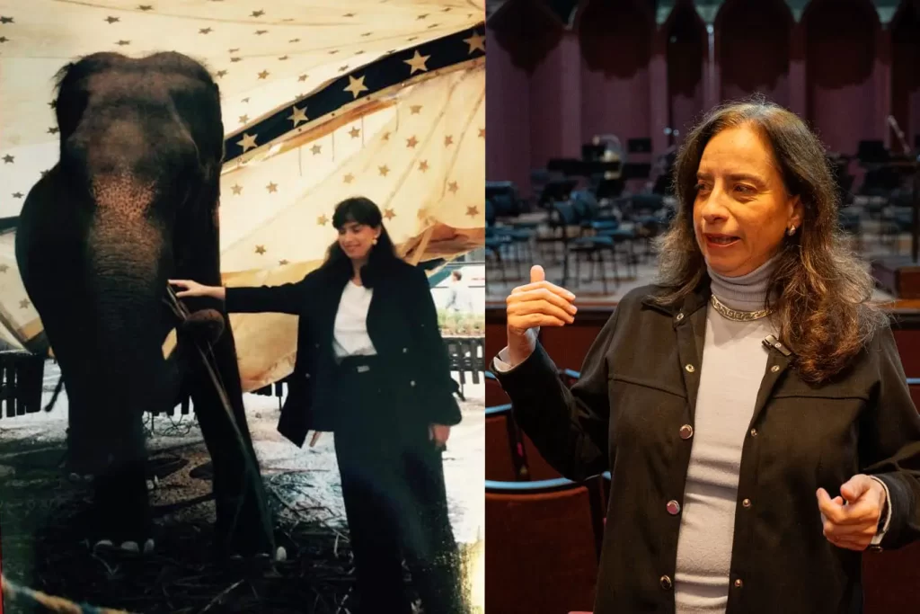 A violinista Simone Savytzky, que integra a OSP desde a fundação, em 1985, guarda a a foto tirada com a elefante Mila, na calçada da rua Amintas de Barros.
Foto: CCTG